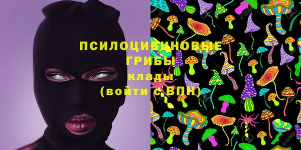 молекула духа Алзамай