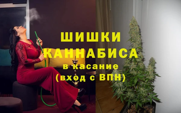 молекула духа Алзамай