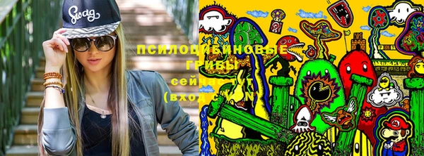 молекула духа Алзамай