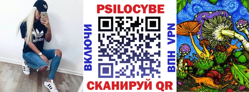 KRAKEN зеркало  Любим  Псилоцибиновые грибы GOLDEN TEACHER 