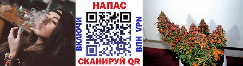 ссылка на мегу tor  наркота  Любим  Марихуана индика 